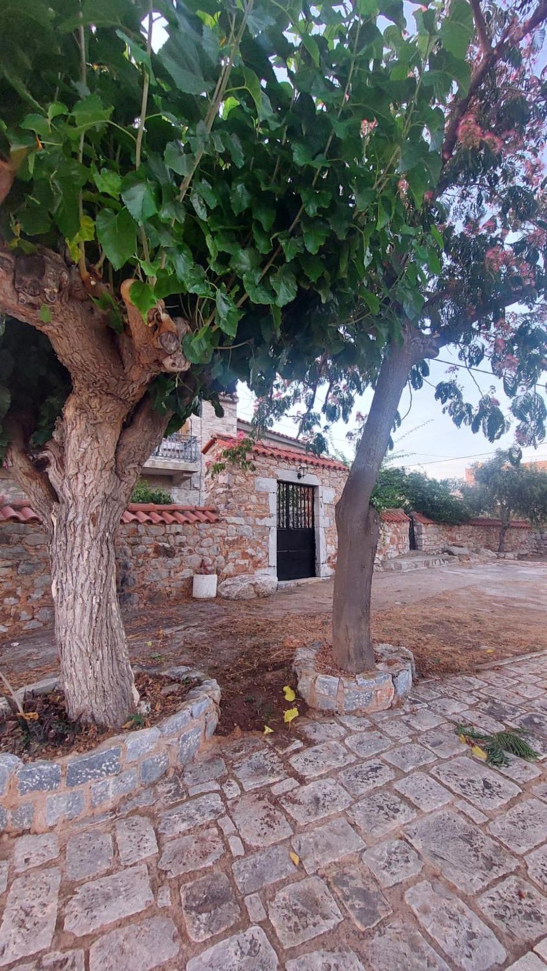 200 Year Old 'Kamara Suite' With Private Garden Pírgos Dhiroú Kültér fotó